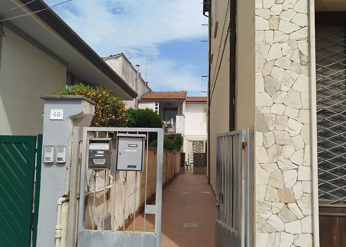 Viareggio, Felicita E Relax A Un Passo Dal Mare! Виареджо